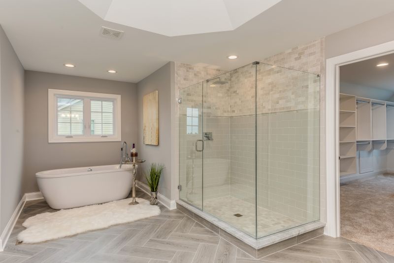 Glass-Enclosed Shower Bathtub